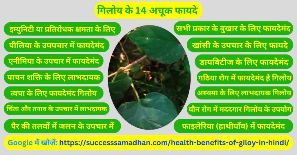 14-Health-benefits-of-giloy-in-hindi-गिलोय-के-14-अचूक-फायदे