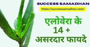 benefits-of-aloe-vera-in-hindi