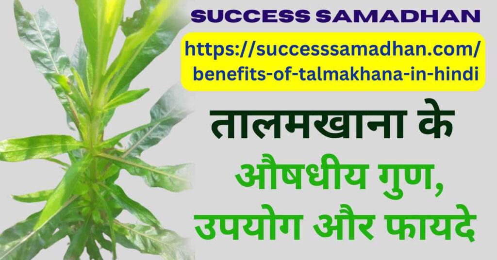 benefits-of-talmakhana-in-hindi