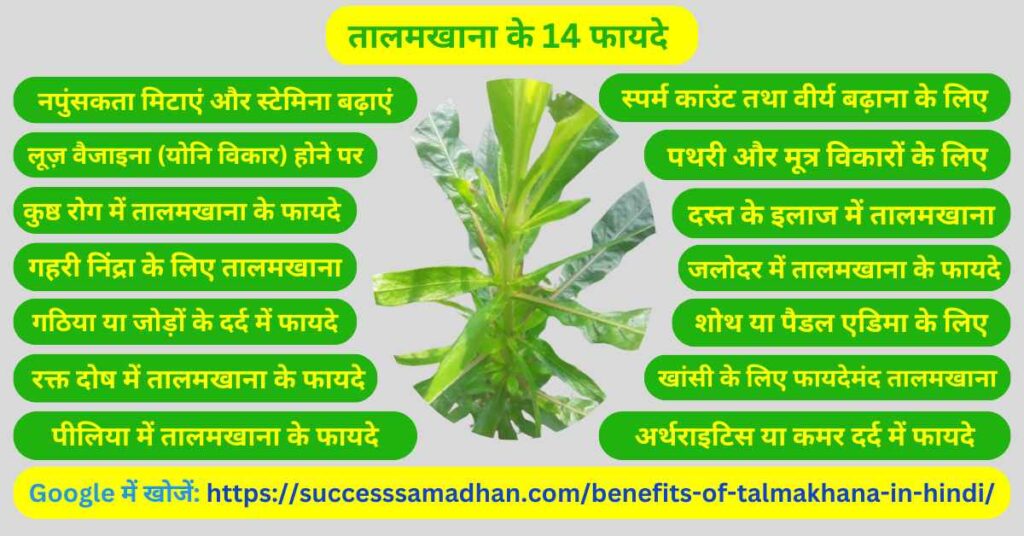 तालमखाना-के-14-बेहतरीन-फायदे-Benefits-of-talmakhana-in-hindi