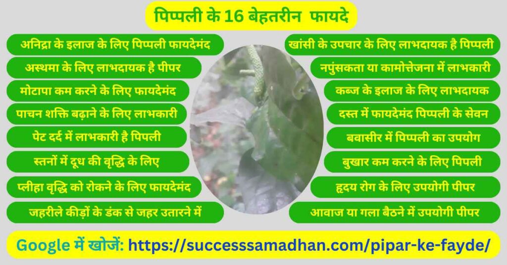 पिप्पली-के-16-बेहतरीन-फायदे-Pipar-ke-fayde