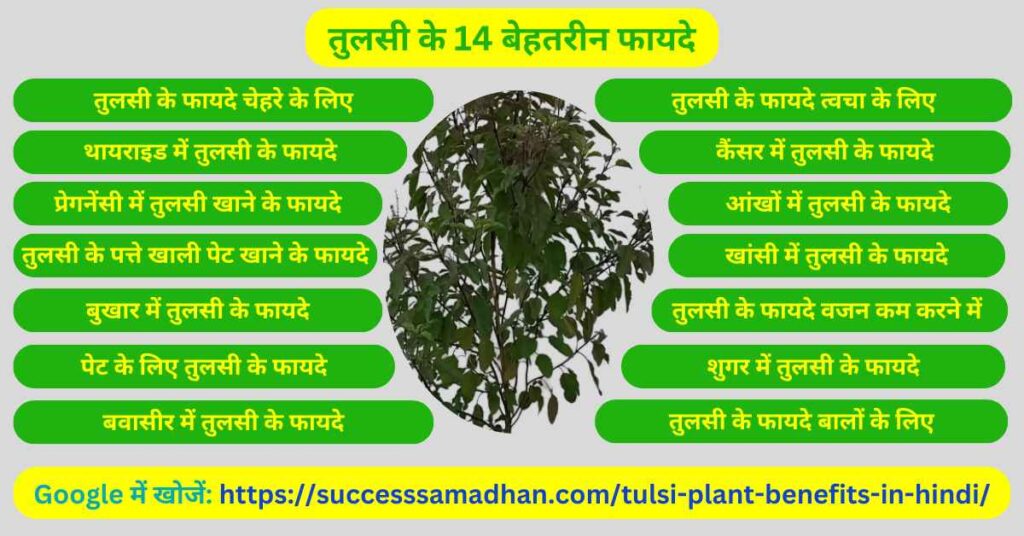 तुलसी-के-14-बेहतरीन-फायदे-Tulsi-plant-benefits-in-hindi