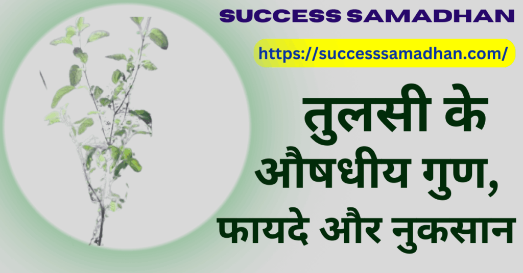 tulsi-plant-benefits-in-hindi