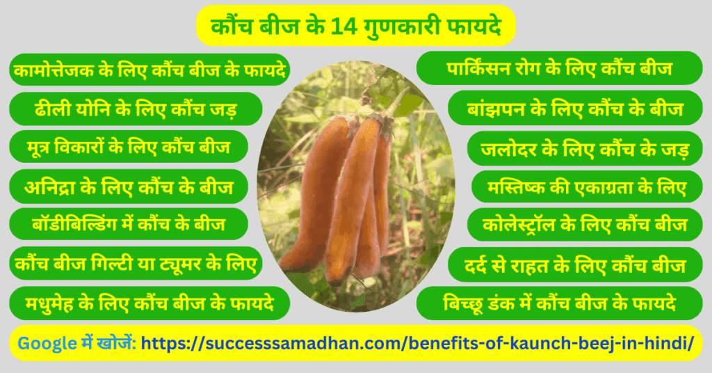 कौंच-के-14-नुकसान-रहित-फायदे -Benefits-of-kaunch-beej-in-hindi