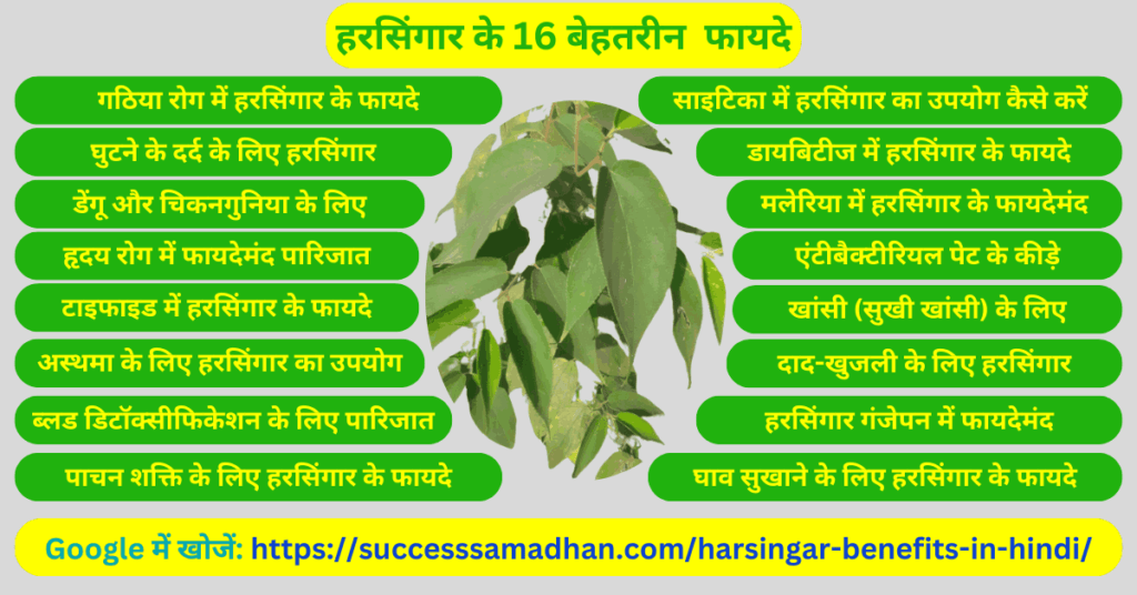 हरसिंगार-के-16-अचूक-फायदे-Harsingar-benefits-in-hindi