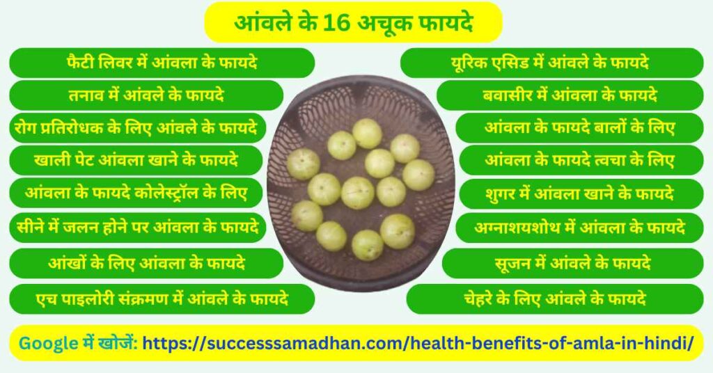 16-Health-benefits-of-amla-in-hindi-आंवला-के-अचूक-फायदे