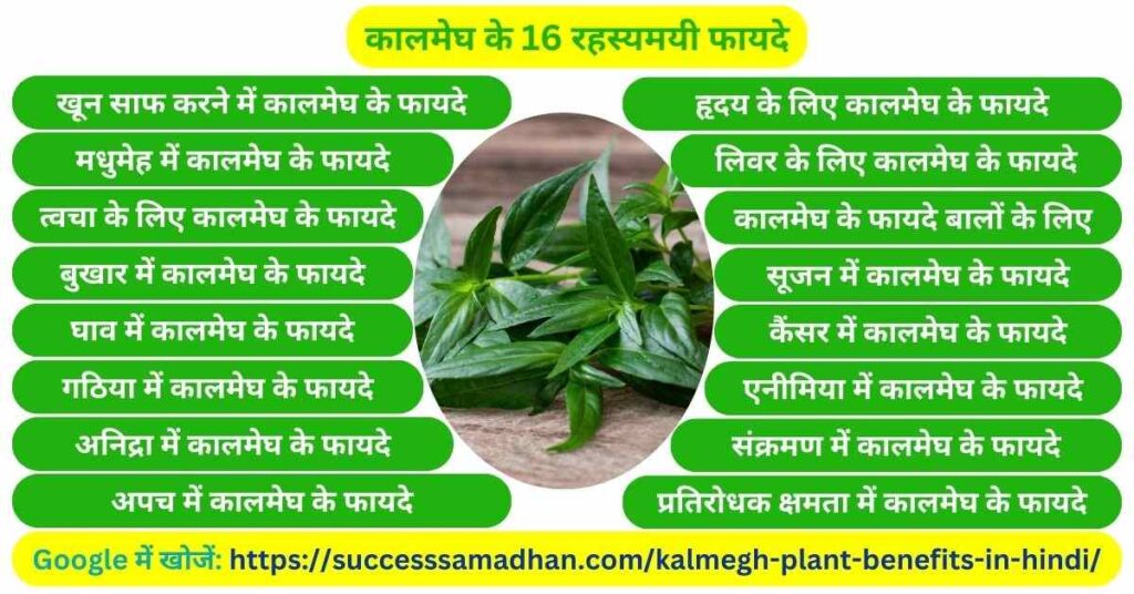 कालमेघ-के-फायदे-kalmegh-plant-benefits-in-hindi