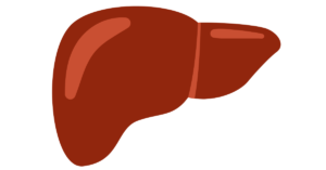 fatty-liver-ayurvedic-treatment-in-hindi