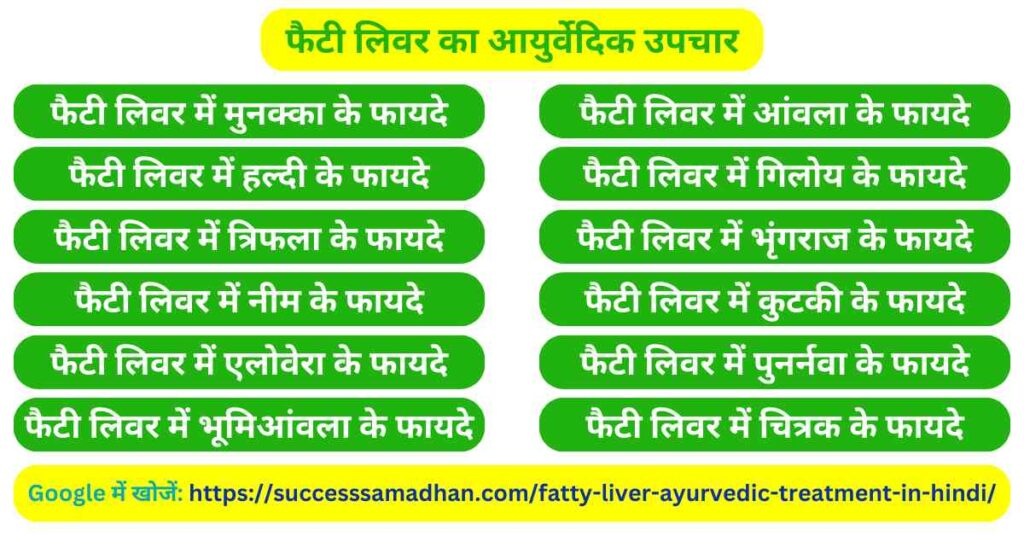 फैटी-लिवर-का-आयुर्वेदिक-उपचार-fatty-liver-ayurvedic-treatment-in-hindi