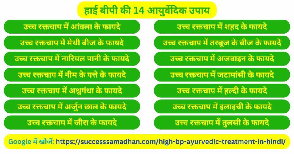हाई-बीपी-की-14-आयुर्वेदिक-उपाय-high-bp-ayurvedic-treatment-in-hindi